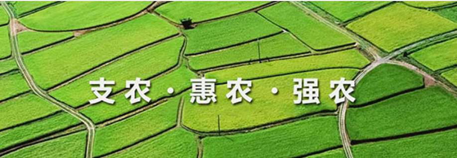 自貢市農(nóng)業(yè)融資擔(dān)保有限責(zé)任公司